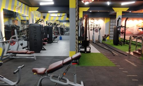 gym-setup-services-in-bhratpur-r-j